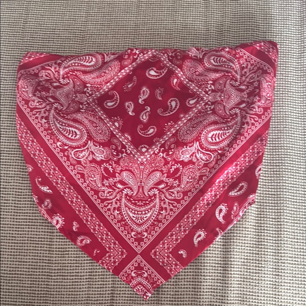 Red Paisley Bandana
